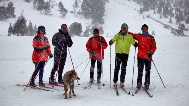 esquiadores de fondo